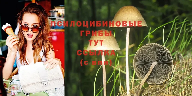 Галлюциногенные грибы MAGIC MUSHROOMS  Нариманов 